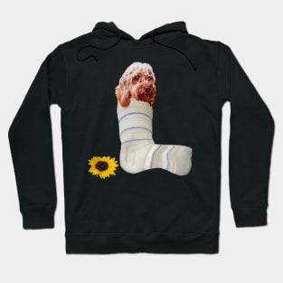 cavalier king charles spaniel Cava in a sock Cavapoo Cavoodle puppy - cute cavalier king charles spaniel Hoodie